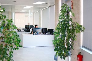 Recepció de l'oficina de Dr. Windows al Palau d'Anglesola, amb el taulell i diversos llocs de treball.